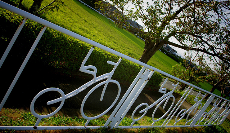 川柳模様メインビジュアル